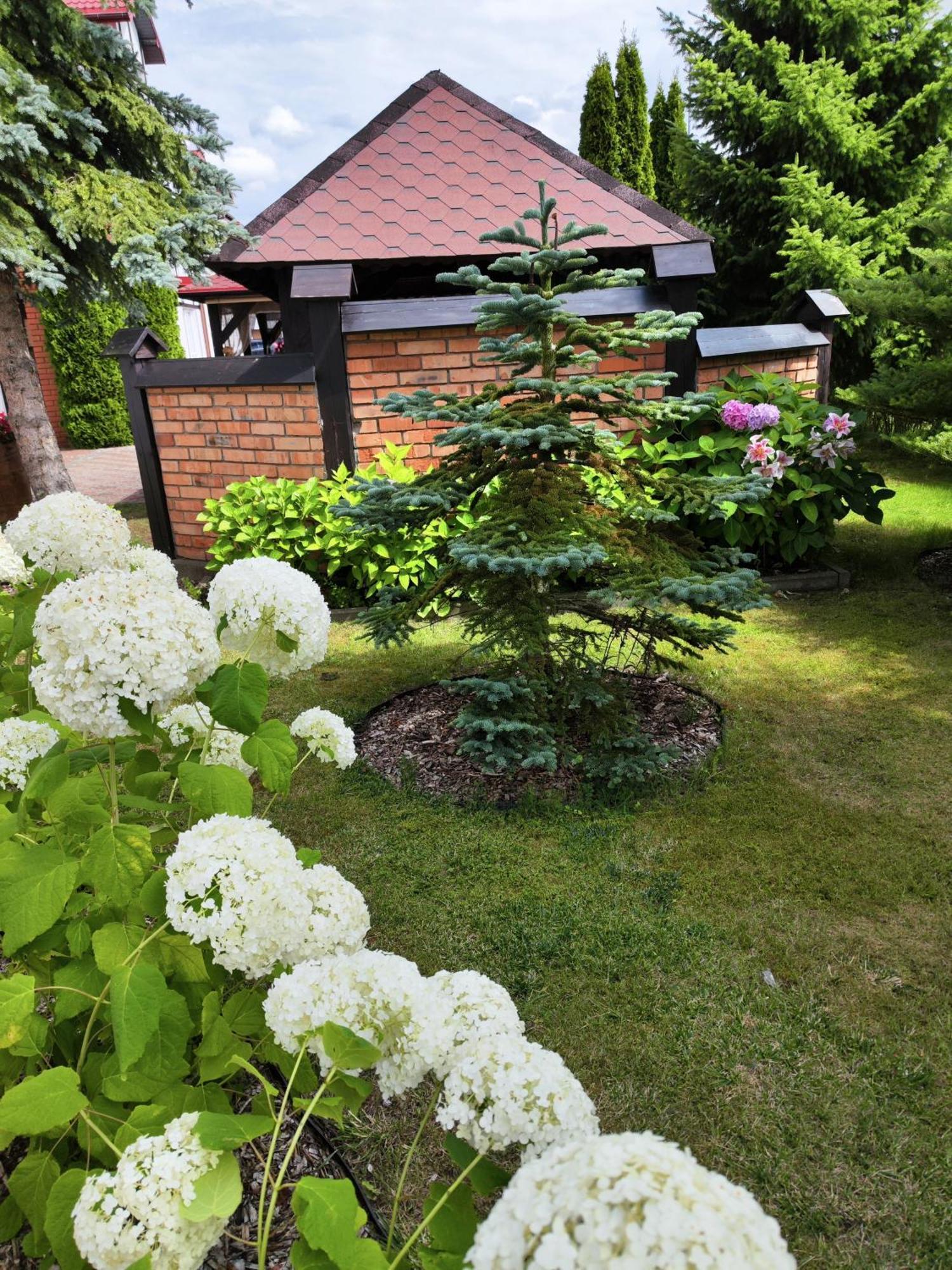 Michalek W Rowach Bed & Breakfast Rowy  Ngoại thất bức ảnh