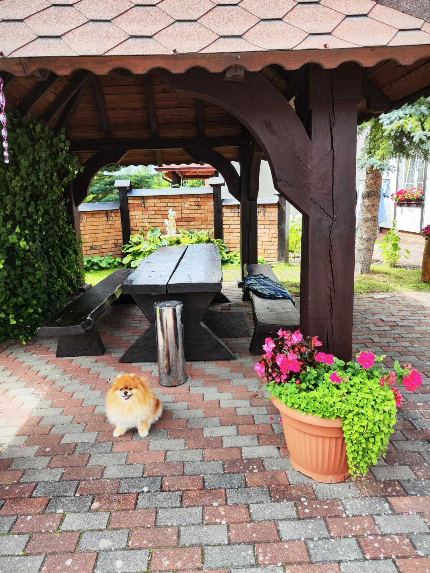Michalek W Rowach Bed & Breakfast Rowy  Ngoại thất bức ảnh
