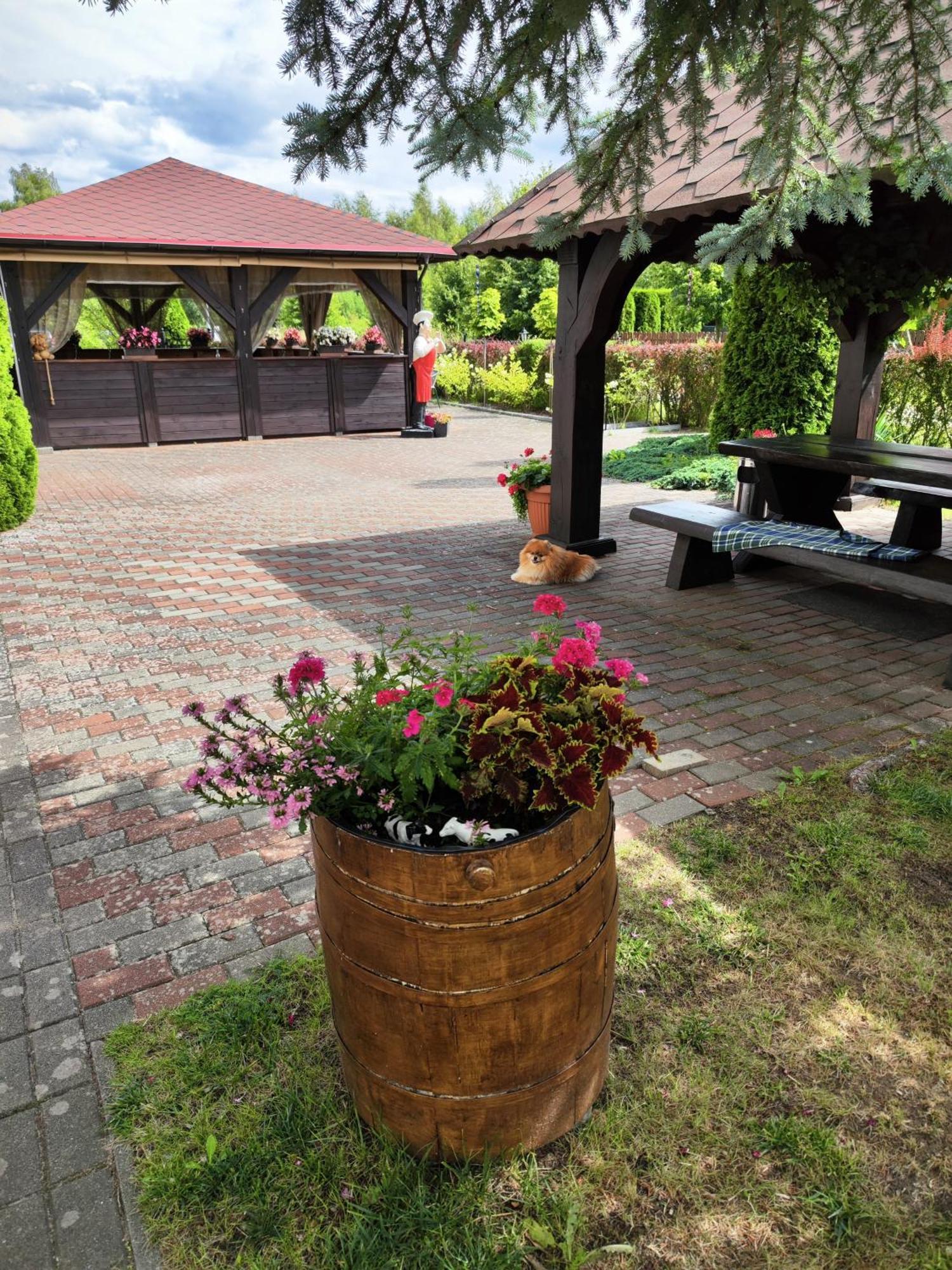 Michalek W Rowach Bed & Breakfast Rowy  Ngoại thất bức ảnh