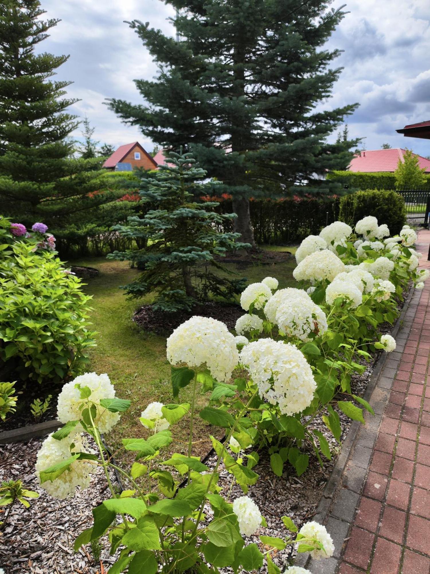 Michalek W Rowach Bed & Breakfast Rowy  Ngoại thất bức ảnh